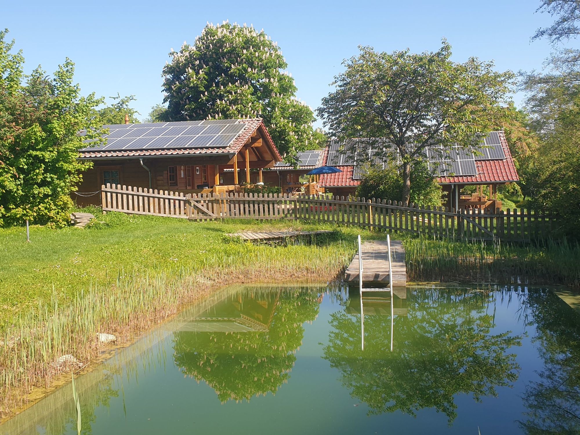 Unser Badeteich im Frühling